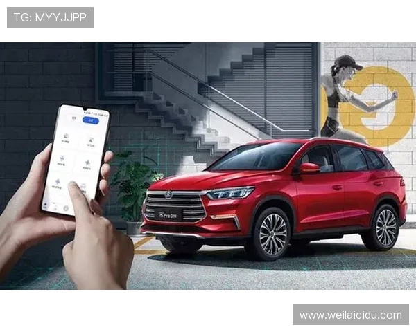 开云真人app的支付方式解析：如何安全便捷地充值