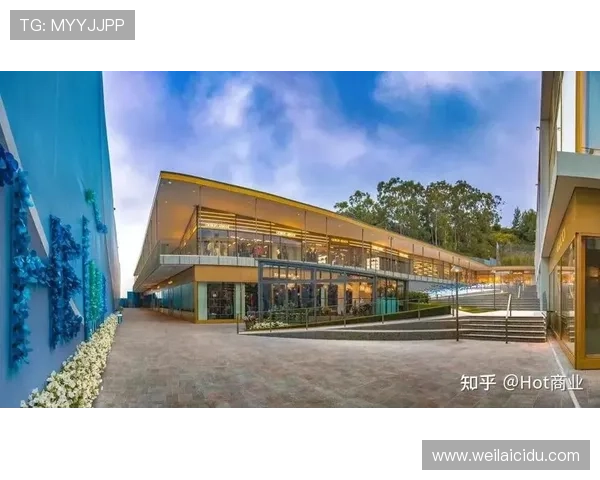 开云体育国际的品牌影响力及其在国际体育市场中的品牌建设策略