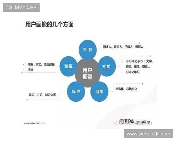 打造专业的在线体育平台：提升用户体验与平台流量的实用策略
